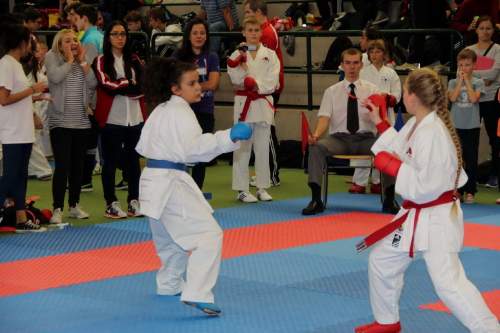 banzai 2013-0278.JPG --- erstellt mit toms-galerie V1.3 - www.tomshaus.de